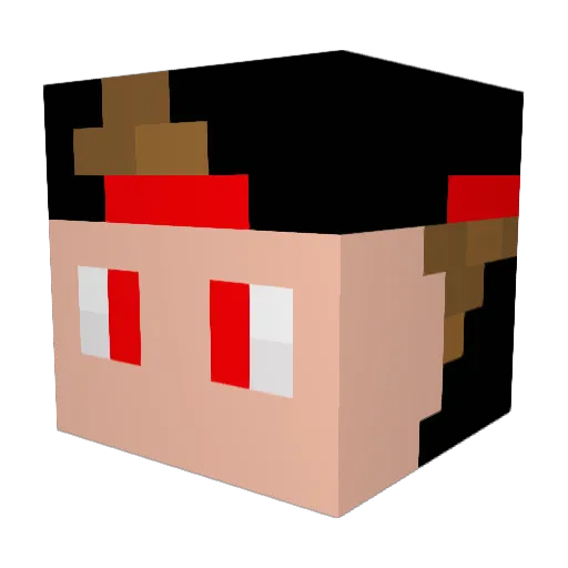THErealHAVENISSE Minecraft avatar head, 3D render