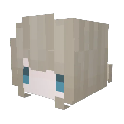 TH_addeus Minecraft avatar head, 3D render