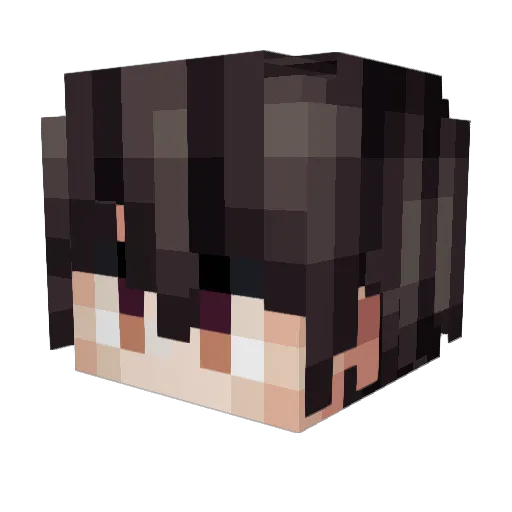 THePleum Minecraft avatar head, 3D render