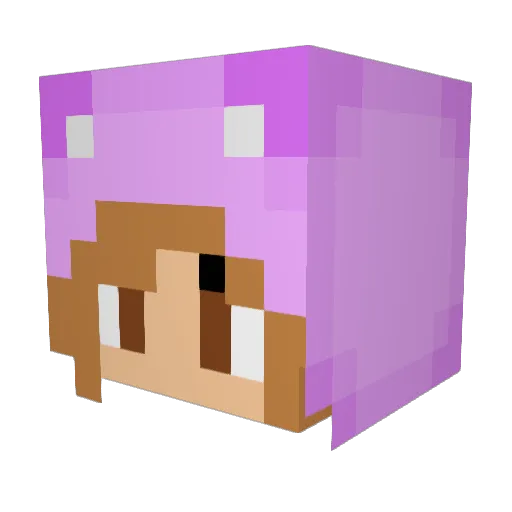 TIDDLEMYWINKSS Minecraft avatar head, 3D render