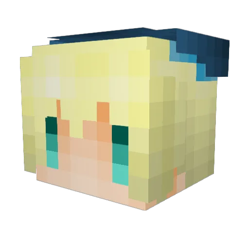 TIDEN Minecraft avatar head, 3D render
