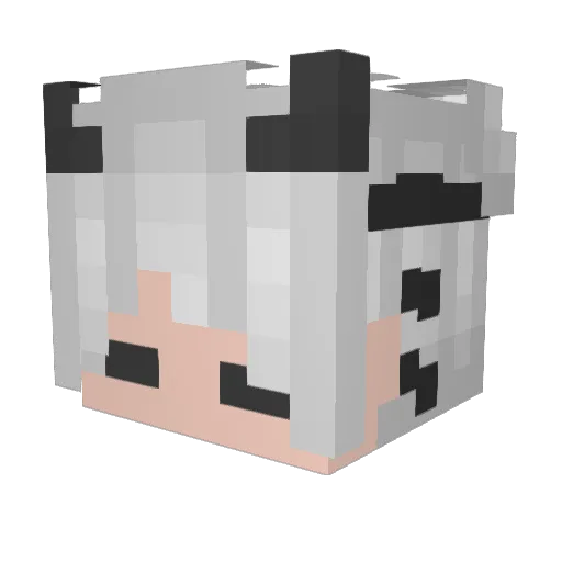 TIERSPACE Minecraft avatar head, 3D render