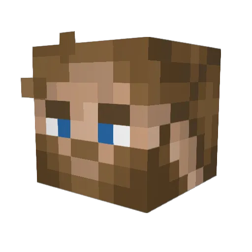 TIGGMEN Minecraft avatar head, 3D render