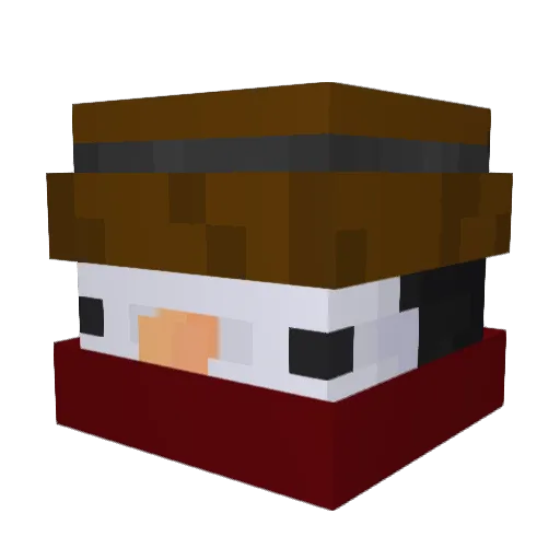 TIGOLeCookie123 Minecraft avatar head, 3D render