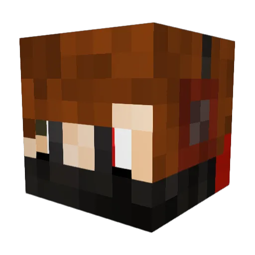 TIGROTTO11 Minecraft avatar head, 3D render