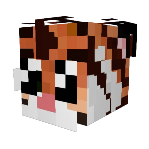 TIKKI_fighter Minecraft avatar head, 3D render