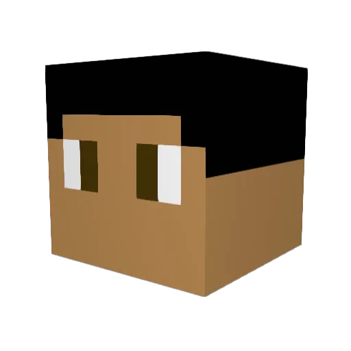 TIMA1623 Minecraft avatar head, 3D render