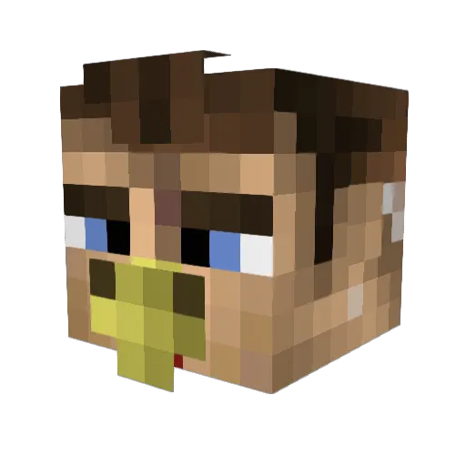 TIMIjame Minecraft avatar head, 3D render