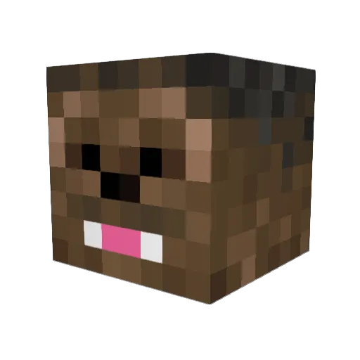 TIMMO_tv Minecraft avatar head, 3D render