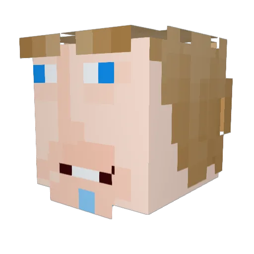TIM_qwq Minecraft avatar head, 3D render