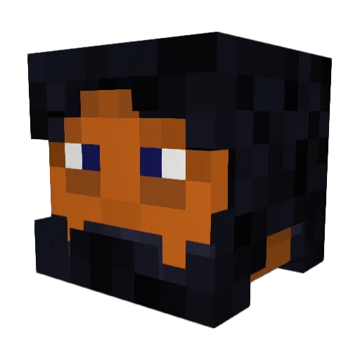 TINHOSOOO Minecraft avatar head, 3D render