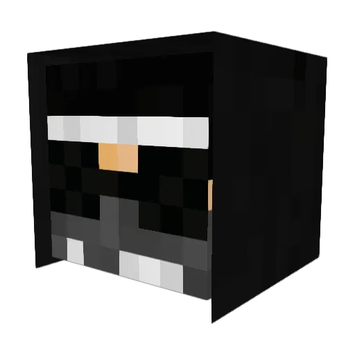 TINY_rick137 Minecraft avatar head, 3D render
