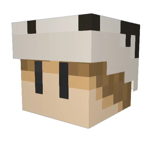 TISKS Minecraft avatar head, 3D render
