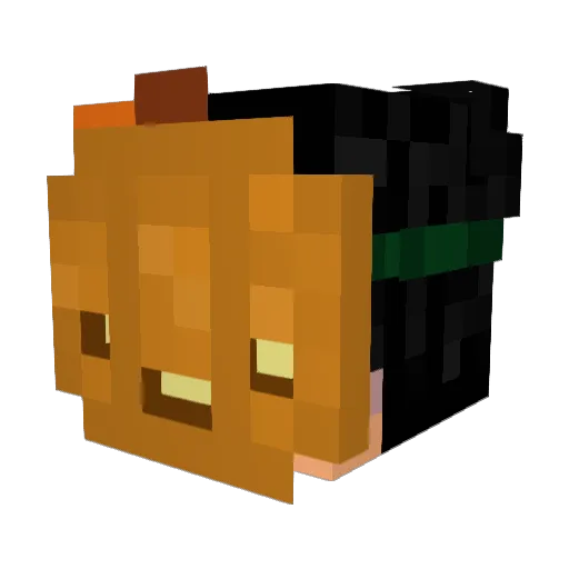 TIV2DUCKMAN22 Minecraft avatar head, 3D render