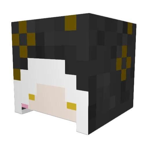 TI_tefu Minecraft avatar head, 3D render
