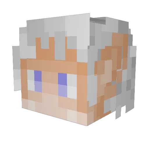 TJAG2012 Minecraft avatar head, 3D render