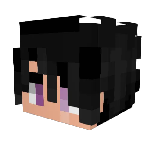 TJCAFF Minecraft avatar head, 3D render