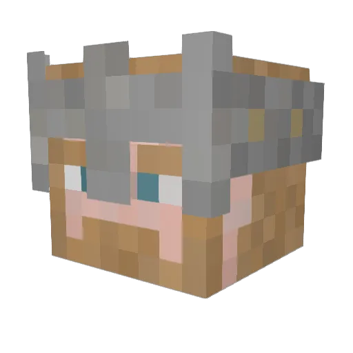 TJEZTER Minecraft avatar head, 3D render
