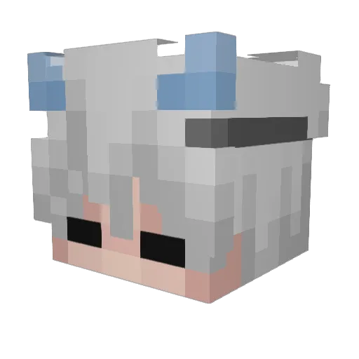 TJFgaming4 Minecraft avatar head, 3D render