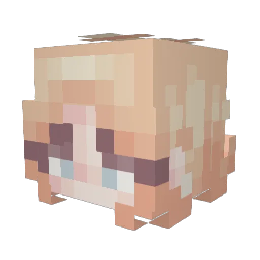 TJGunner12 Minecraft avatar head, 3D render