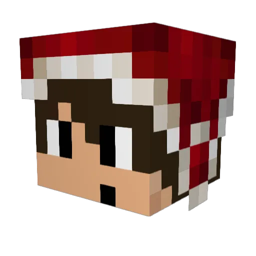 TJJ3412 Minecraft avatar head, 3D render