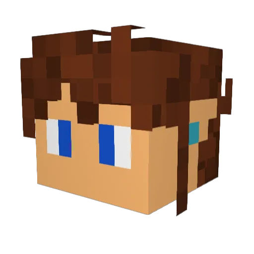 TJMcFly Minecraft avatar head, 3D render