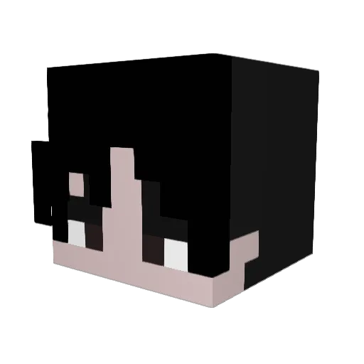 TJQ0511 Minecraft avatar head, 3D render