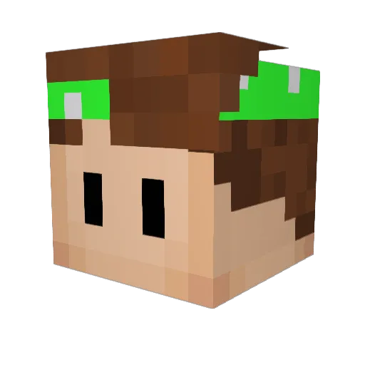 TJREDMAN Minecraft avatar head, 3D render