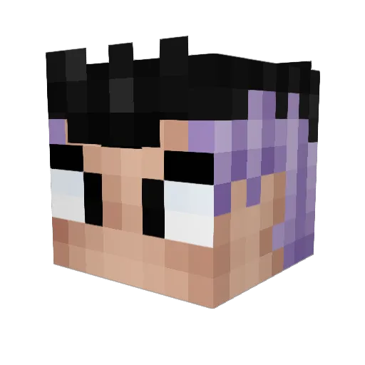 TJRaw2015 Minecraft avatar head, 3D render