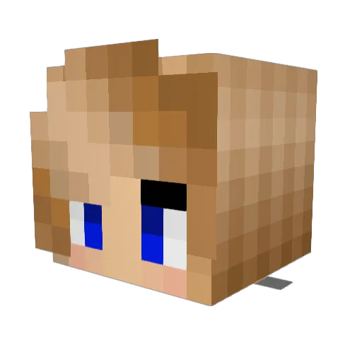 TJRocks2014 Minecraft avatar head, 3D render