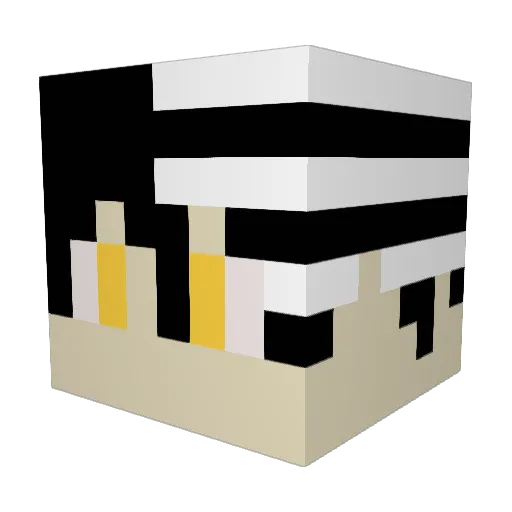 TJS213 Minecraft avatar head, 3D render