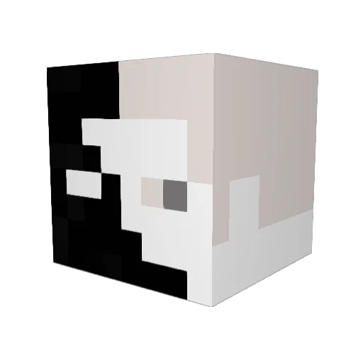 TJT2009 Minecraft avatar head, 3D render