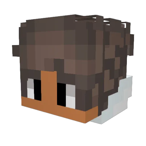 TJ_13 Minecraft avatar head, 3D render
