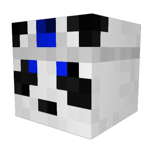 TJ_Bogen Minecraft avatar head, 3D render