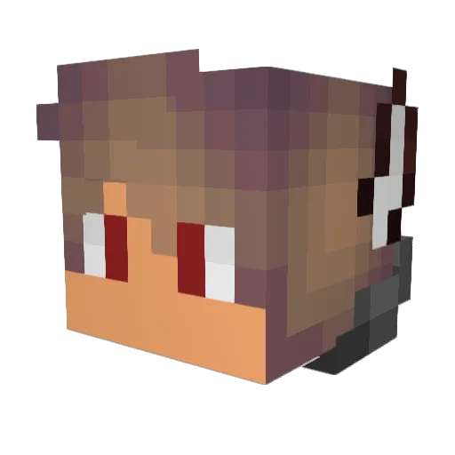 TJ_Is_The_Best Minecraft avatar head, 3D render