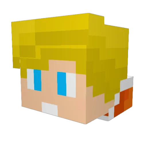 TJeroen Minecraft avatar head, 3D render