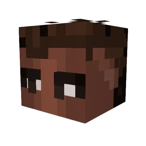 TKHD09 Minecraft avatar head, 3D render