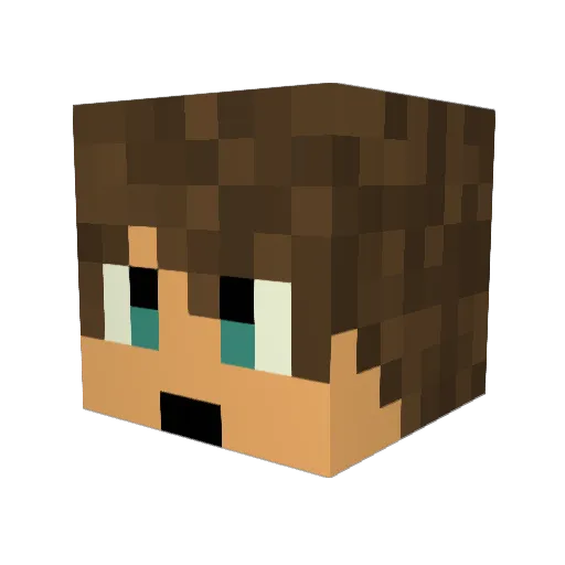 TKObringer01 Minecraft avatar head, 3D render