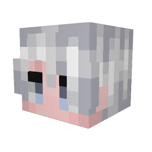 TK_Carlos Minecraft avatar head, 3D render