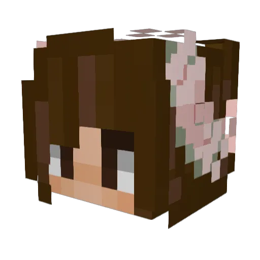 TK_Thompson Minecraft avatar head, 3D render