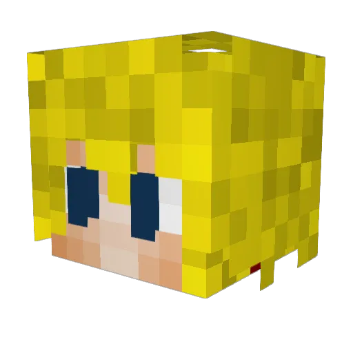 TK_Thunder Minecraft avatar head, 3D render