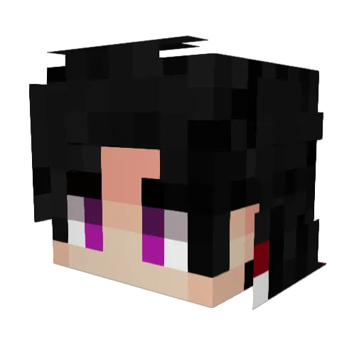 TKamado Minecraft avatar head, 3D render