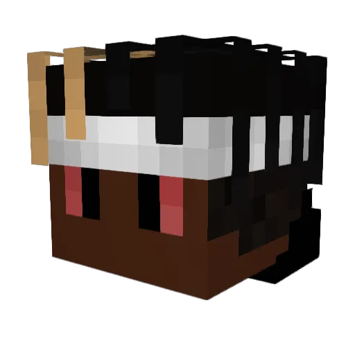 TKasTrappin Minecraft avatar head, 3D render