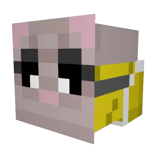 TKashi_ Minecraft avatar head, 3D render