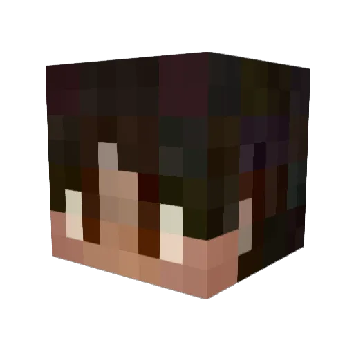 TKbiswelll Minecraft avatar head, 3D render