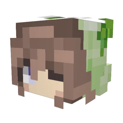 TKillerVT Minecraft avatar head, 3D render