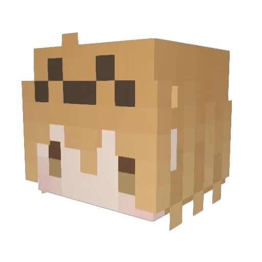 TKpine Minecraft avatar head, 3D render
