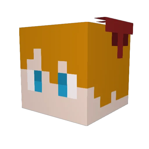 TKyu_ERKI Minecraft avatar head, 3D render