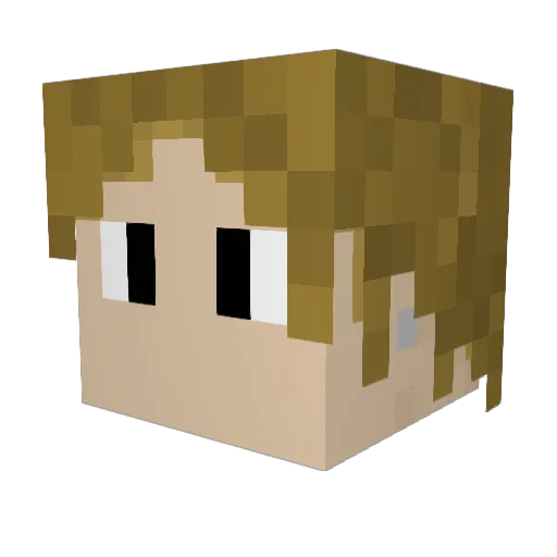 TLD_Legacy Minecraft avatar head, 3D render