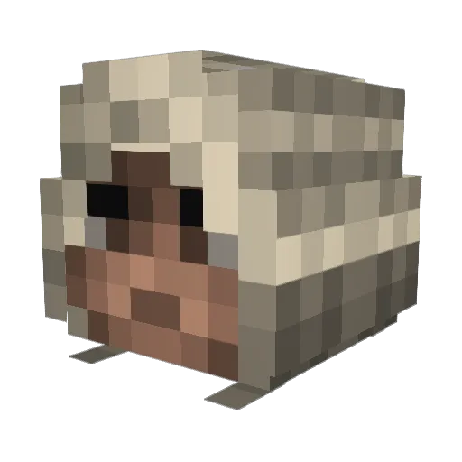 TLDragon Minecraft avatar head, 3D render